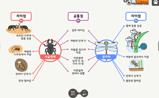 개념 이해